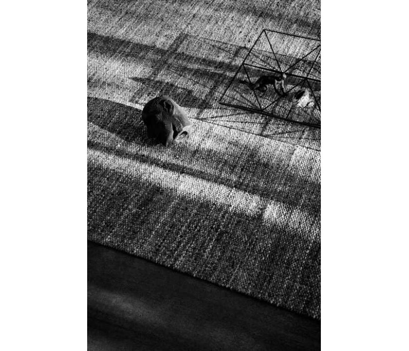 Cтолик Alanda '18