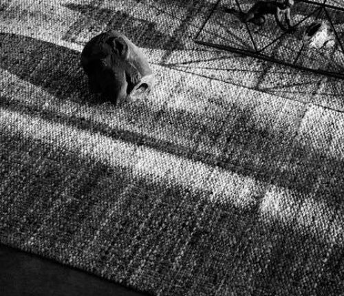 Cтолик Alanda '18